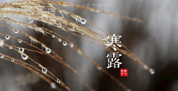 天然气|明日寒露，不懂吃这5种食材亏了，“寒露不露脚”足部保暖要做好