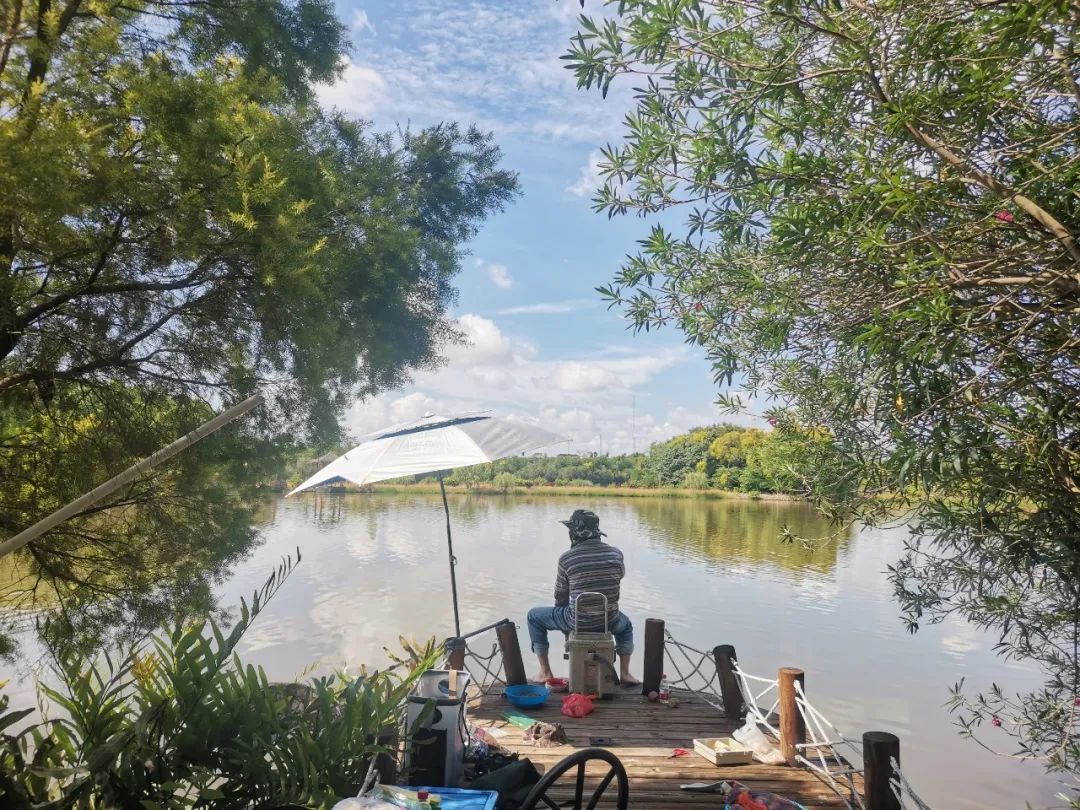 南沙|小南请你去南沙湿地钓鱼！