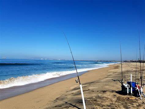 钓鱼技巧|海钓钓鱼技巧，surf fishing钓鱼，美国冲浪钓，日本远投钓