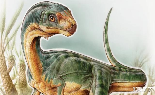 活火熔城▲进化自我复制的8个狂野的例子