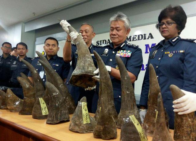 文玩|文玩圈的禁止品哪些？你有吗？大家不要碰！