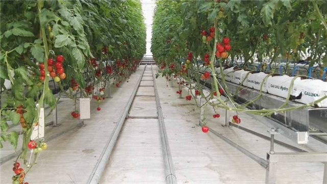 马云|马云早已言明！农村3大“机遇”已经出现，穷人翻身的机会来了？