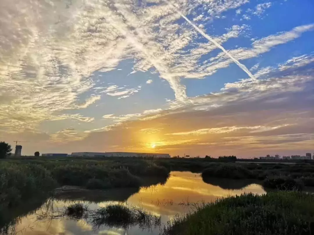 2019年西咸新区新房成交直逼3万套，购房者都在买什么样的房子？