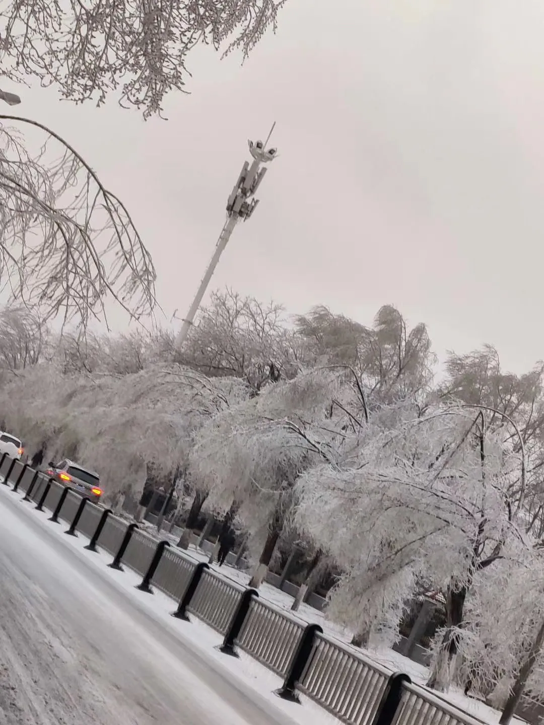 浙江省|全力抢修！停水、停电、停运……吉林省暴雪橙色预警！