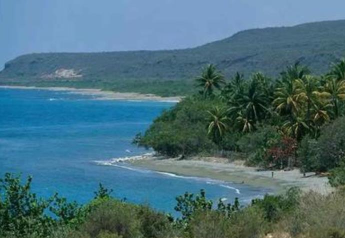 长征五号b@难道美人鱼真的存在?科学家:不可思议难道