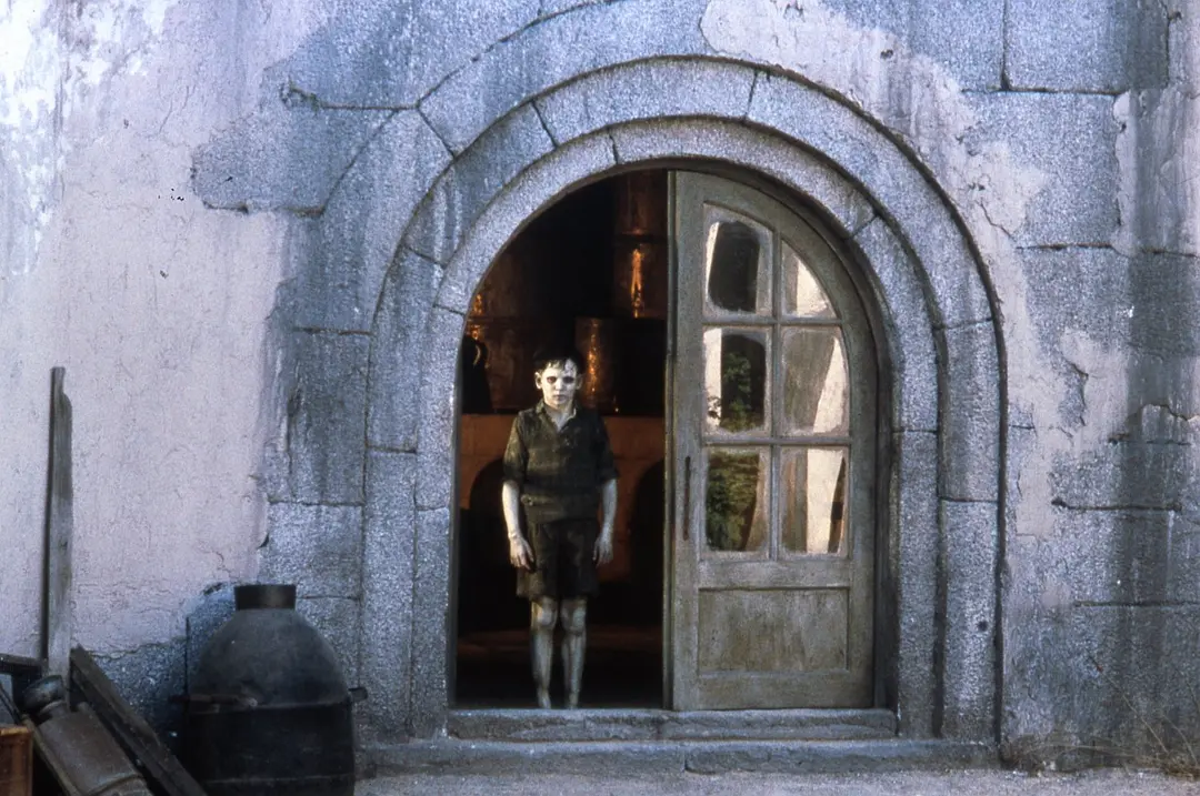 「豆瓣」最邪性的9部恐怖片，太吓人了看完整个人都不好了！