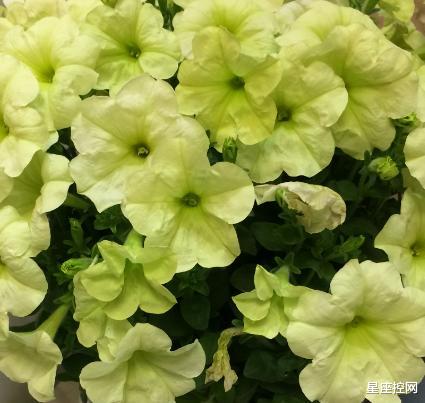 |哪些月份出生的人,多年以来打下良好基础,年底前有望买房买车