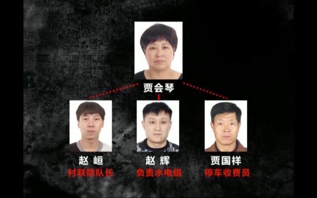 有期徒刑|北京朝阳58岁“女村霸” 欺行霸市14年，获刑15年