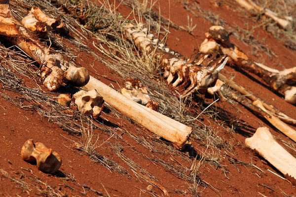 【】地球上有5大最恐怖生命禁区, 有3个在中国, 修路都是绕开修!!