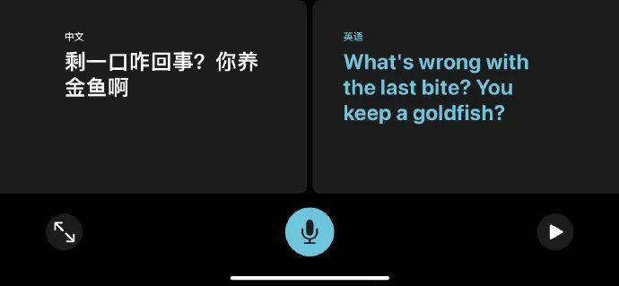 翻译|iOS14的翻译真挺懂的