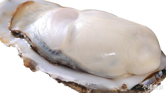 牡蛎|明明长得一模一样,为何一个叫生蚝,一个叫牡蛎?原来区别这么大