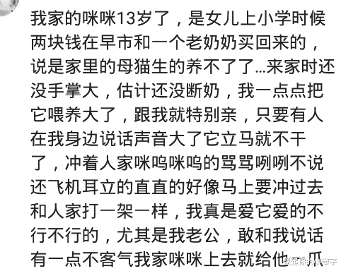 |我妈说小的时候，家里的猫会用尾巴在河边钓鱼，叼回厨房的柴堆，哈哈哈