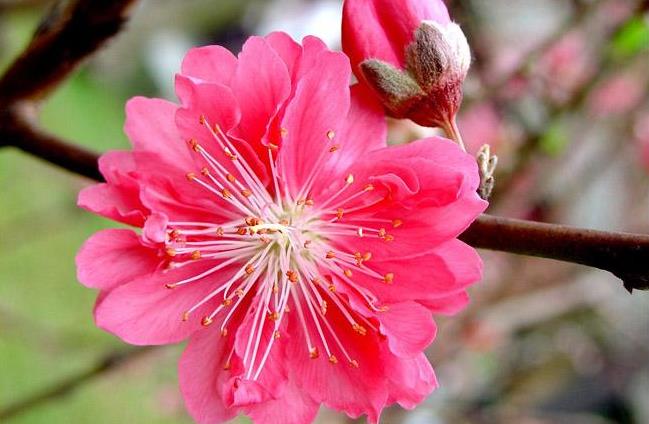 『生肖』6月上旬偏财运一发不可收拾，中大奖概率极高的3大生肖