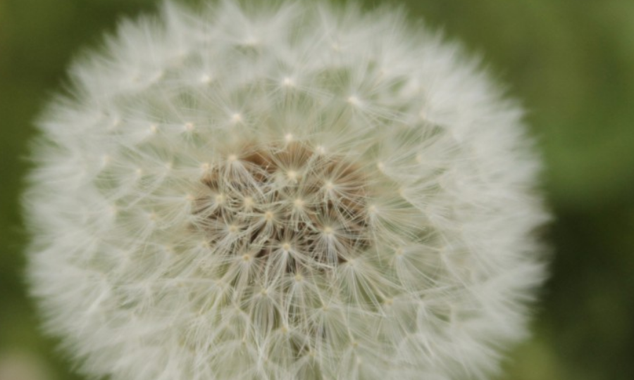 生肖|九月开始，财运兴隆，贵人八方来，福气不浅的生肖