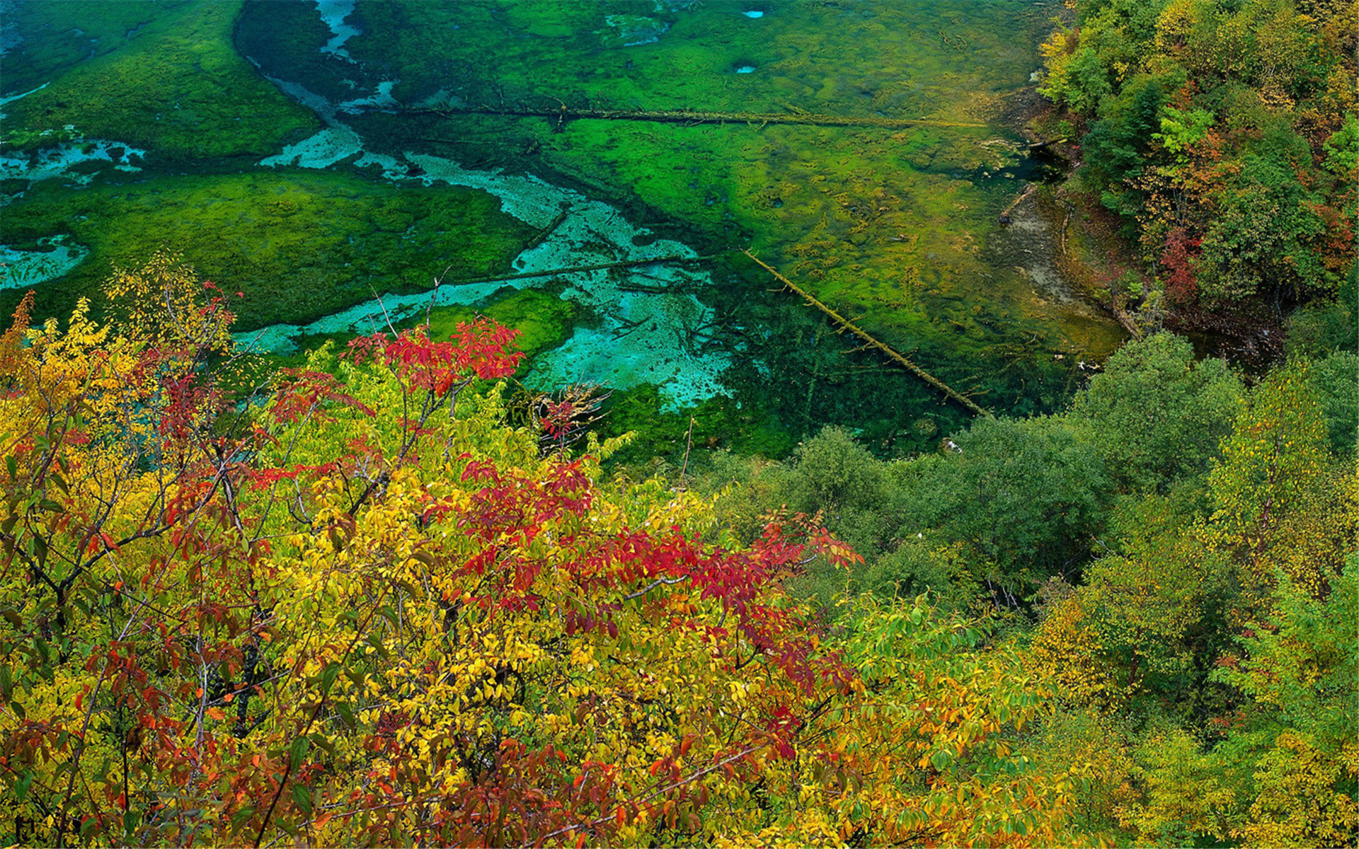 #九寨沟#景点比九寨沟美，却极少人知道这个地方，门票还没九寨沟多