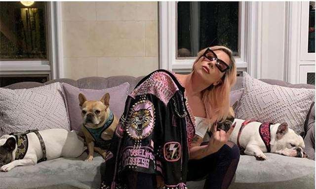 『』Lady Gaga豪宅成堆？衣服多到卧室做成衣柜？后花园堪比养殖场