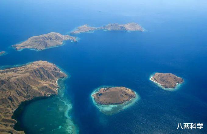 科莫多龙|科莫多龙的口水有毒？嗜血？杀人如麻？科莫多龙的神话与现实！