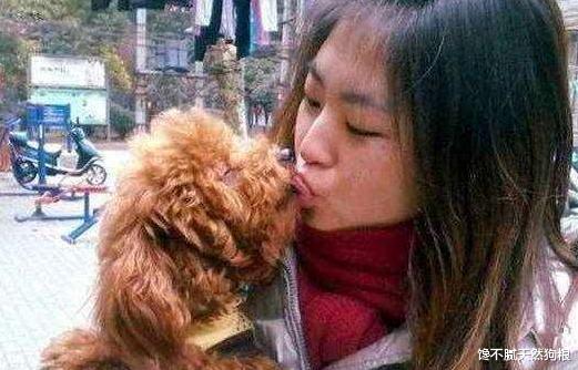 边境牧羊犬|买得起养不起的8种狗，很多人表示后悔不已