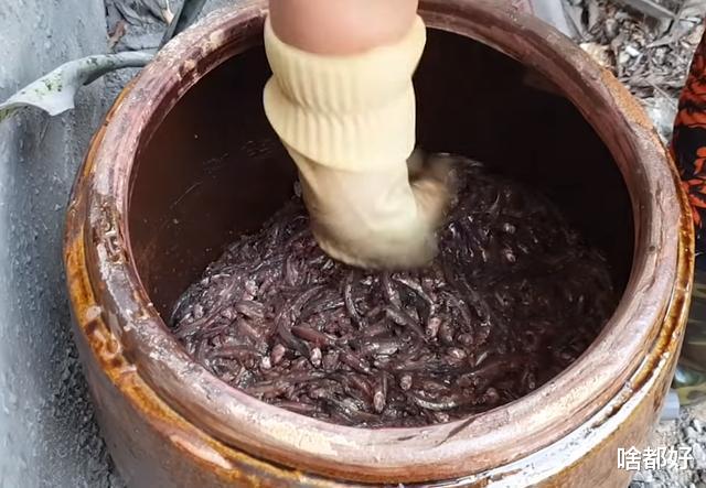 鱼露|大娘把鱼扔进缸里，不杀也不洗，3个月后，全家人都吃“嗨”了