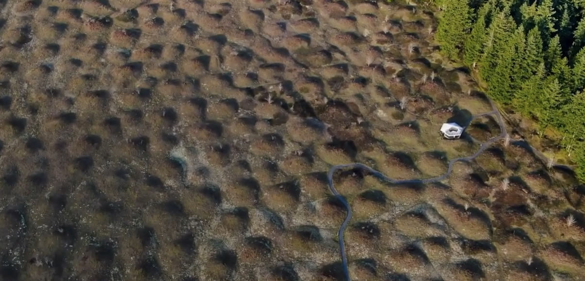 「乌贼」五个未解的神秘事物，你知道他们的由来吗？