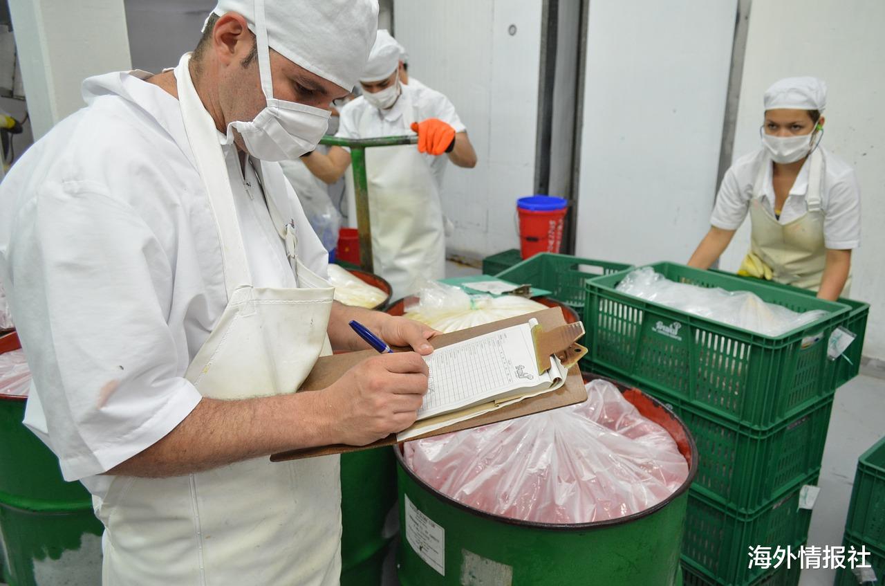 猪肉|加拿大肉企出现问题，德国有望保持中国第一大猪肉出口国地位