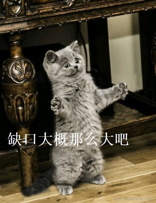 填报志愿|高考填报志愿别忽视冷门，就业也挺香的