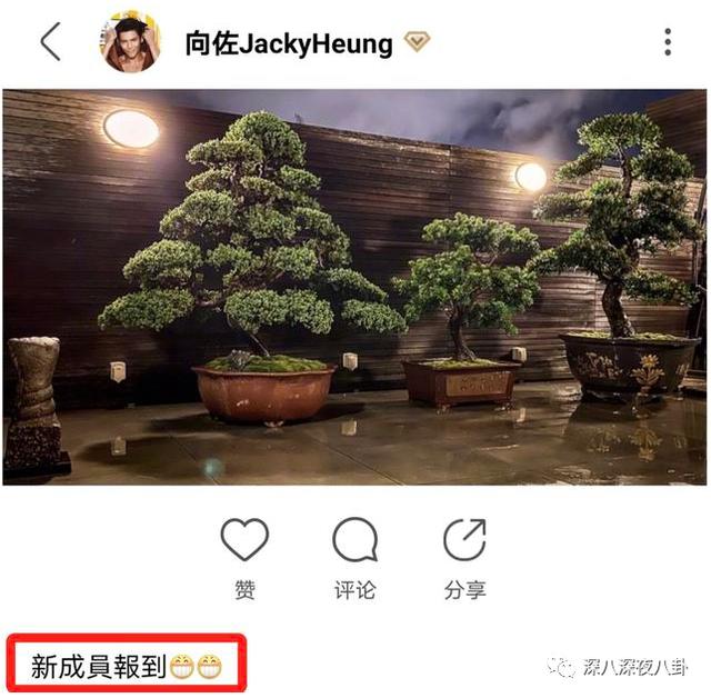 郭碧婷|台湾媒体报道说，她已怀孕六个月1