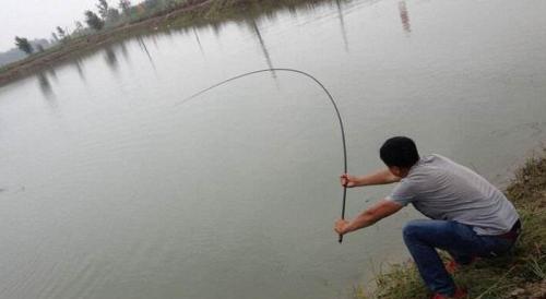 「」按照春季的模式钓夏季的鱼，已经行不通了！