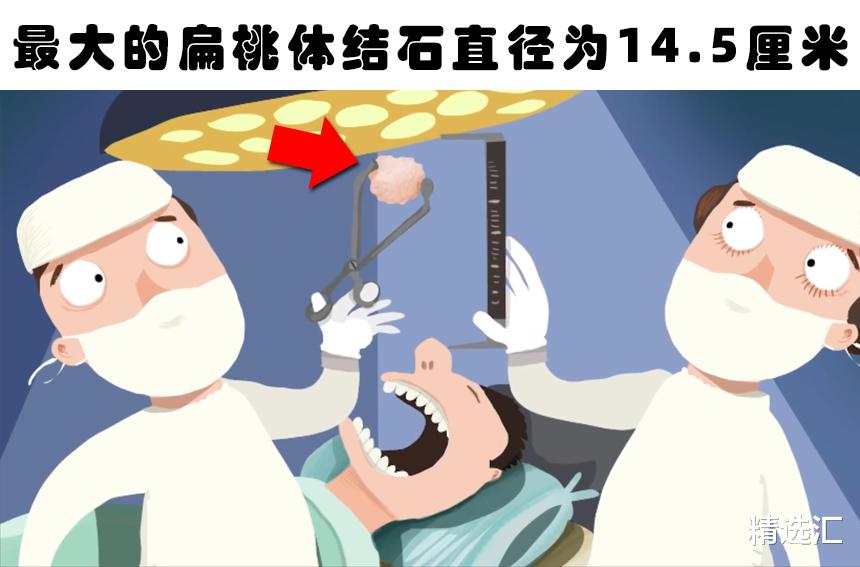 乌鸦|即便“学富五车”的人也未必了解的7个冷知识
