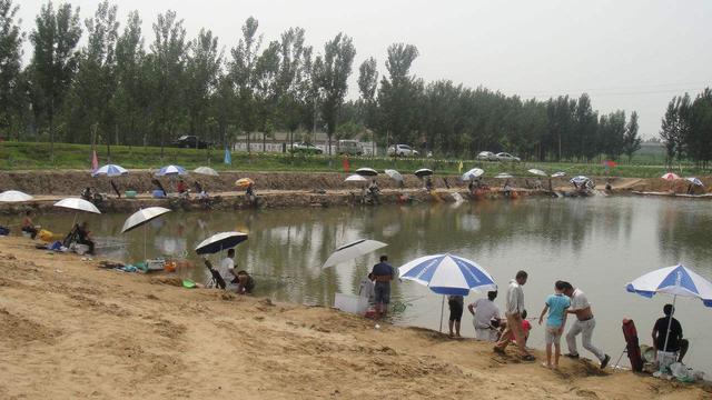 「」黑坑调钓，别再说微调找口，调灵钓钝其实就看鱼口