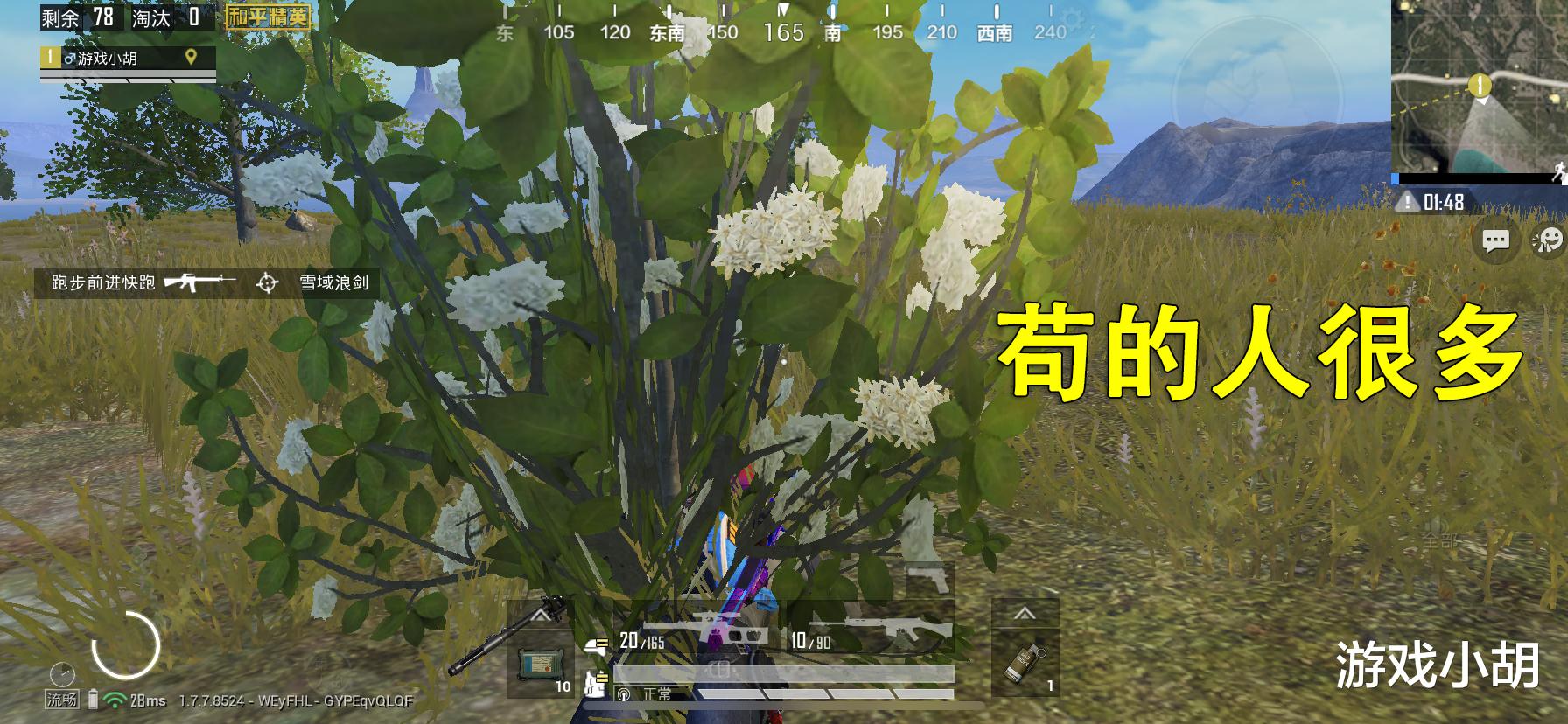 吃鸡游戏:和平精英:苟上王牌吧!然后,你就可以体会真正的游戏乐趣了