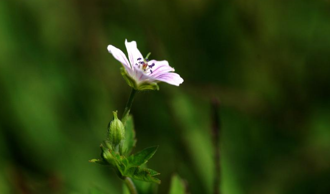 |4属相悄悄做富豪,1月下旬赚钱快马加鞭,2月地位高不可攀!