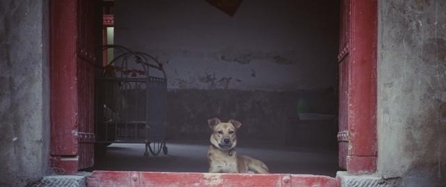 【面条】立夏的三吃四不准,都有什么讲究?