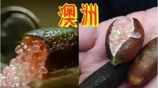 『西瓜』吃货是怎样炫富的？迪拜黑皮西瓜，日本白草莓，中国人默默拿出它