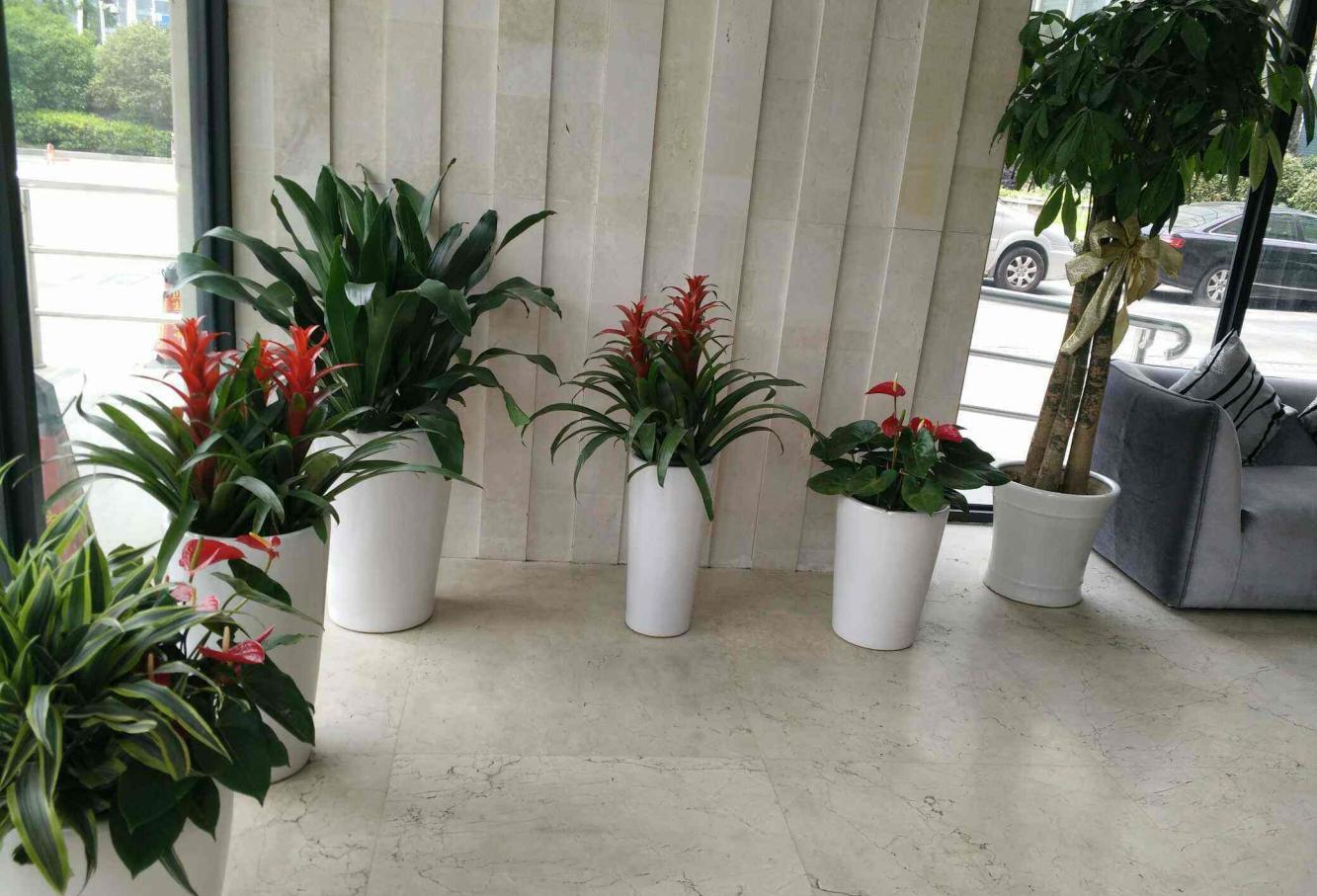 门上有这三种邪恶的东西。孩子不可能富有，住里面肯定使他们贫穷