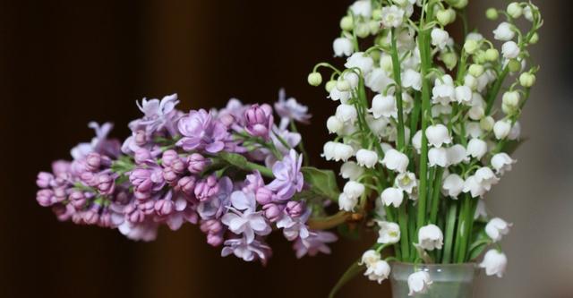 生肖|8月，好运逆转，熬过困苦日子，4生肖迎来贵人助力，生活爱情开花