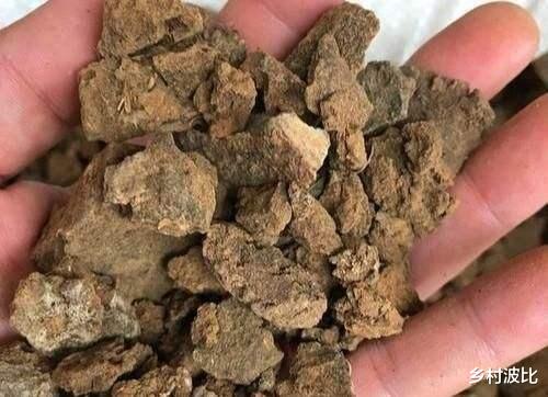 饵料|在农村榨油剩下的油渣,为何能抵消榨油的钱?油渣有何用?