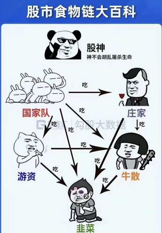 牛市|牛市中，我们是怎么把钱亏掉的？