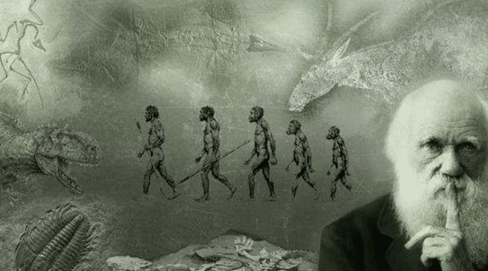 |如果没人教婴儿说话，婴儿长大后会自己说话吗？