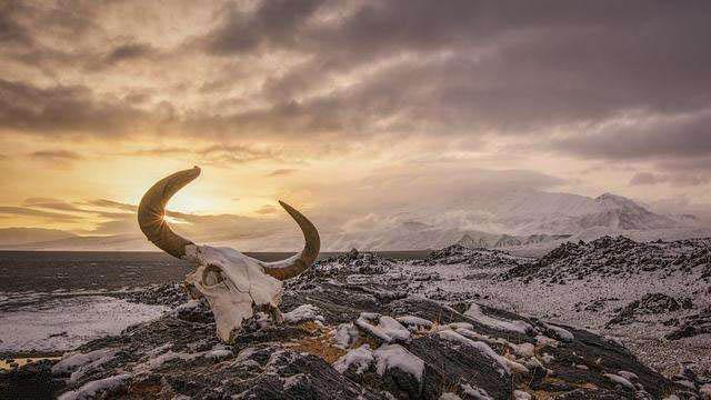 [死亡谷]传说西王母居住的昆仑山上，1983年的科考队到底发现了啥？