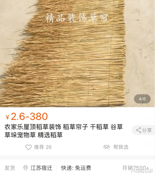 【电子商务】一个很另类的电商生意，每月能赚3万以上，看了你别不信