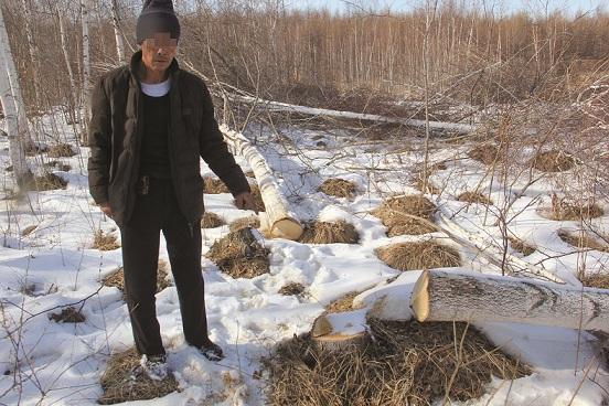 「民警」盗伐树木403株，其中珍贵树种43棵！跛足男子疫情期冒雪进山作案