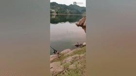 『蛇王』男子山中水库垂钓,遭遇罕见“五步蛇王”,男子:三米长比我胳膊还粗