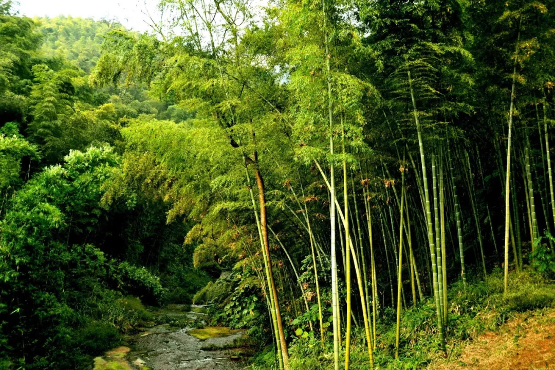 「门源」未来30天,中国这7个地方将美哭全世界