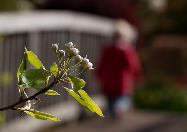 #生肖#4月后，岁月悠长，桃花纷纷，3星座一见倾心，遇见真爱甜蜜脱单