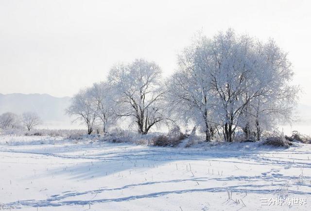 达古冰川|11月最适合去的3大胜地，每一处都会让人对其念念不忘
