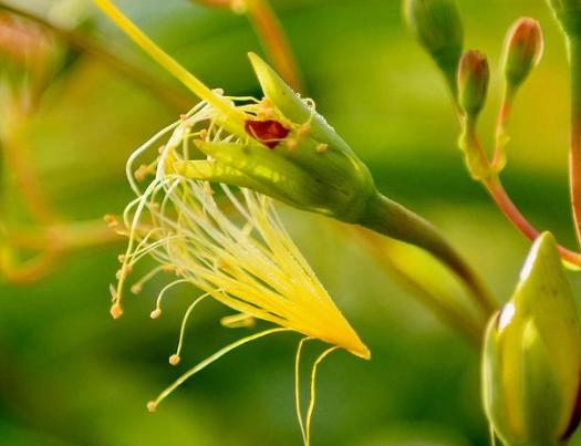 天蝎座|最念旧情、分手也忘不掉的4个星座，总是回忆，那段美好时光