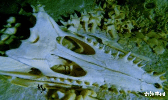 「科学家」地心世界真的存在吗，科学家在地下600公里处，发现神秘人类头骨