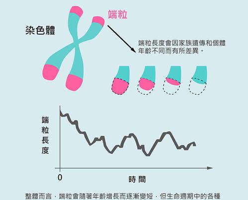『霍金』为什么又有人说：霍金曾预言秦始皇还活着？