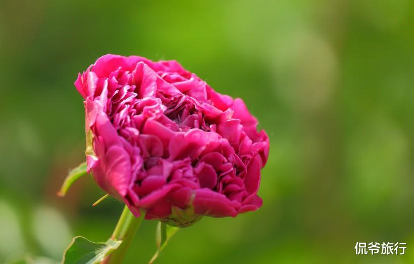 「」7月7号财运高升，拥有赚钱好机会的3属相，福气满满，让全家人都沾喜